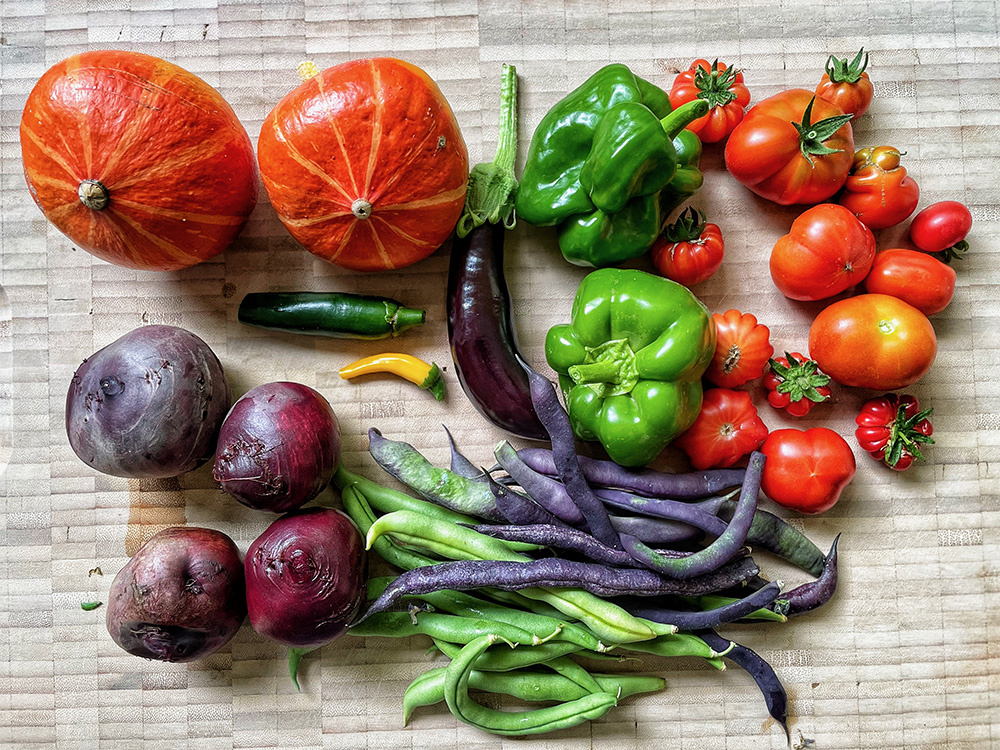 Garden Vegetables - The Garden Jungle