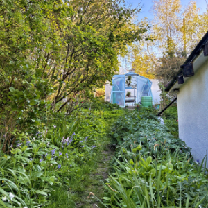 The Garden Jungle